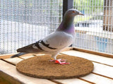 15 Packs Pigeon Nest Pads, Bird Breeding Mat for Chicken, Natural Coconut Fiber Egg Mat, Nesting V1259-DP01-A-915