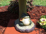 Resin Frog Birdbath Garden Statue, Antique Yard Decor for Home, Large Inventory! V1192-AZ-W-26069