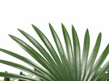 Artificial Wide Leaf Fan Palm Tree 90cm V637-DP1197764