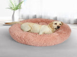 PaWz Pet Bed Dog Beds Mattress Bedding XXL Pink XX-Large JC1058-XXL-PK