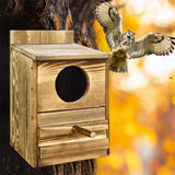 Owl Nesting Box Bird Feeder Paulownia Wood Acrylic V178-66929