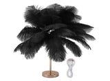 Decorative Table Lamp 30PCS Feathers USB Rechargeable Light Touch Control Desk Light Built in V1294-YM0901-3119230088511