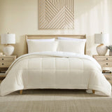 Ardor Avalon Cream 3 Pcs Velvet Comforter Set with Sherpa Reverse Queen/King V442-INT-COMFORTER-3PCSAVALON-CREAM-QS