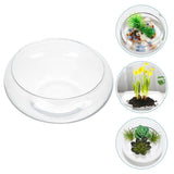 Clear Glass Planter Pot for Small Plants, Decorative Flowerpot Container, Fish Bowl, and Terrarium V1192-AZ-W-28523
