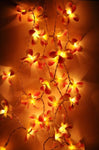 1 Set of 20 LED Orange Frangipani Flower Battery String Lights Christmas Gift Home Wedding Party V382-ORFRANGIBATT20