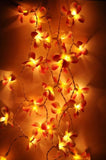 1 Set of 20 LED Orange Frangipani Flower Battery String Lights Christmas Gift Home Wedding Party V382-ORFRANGIBATT20
