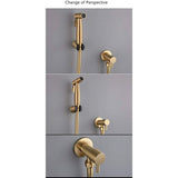 Stainless Steel Toilet Bidet Shattaf Faucet Sprayer, Bidet Sprayer Kit V1188-MS-227-2744