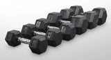 Rubber Hex Dumbbells 2X10 kg V1012-CFHDB10