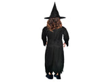 Children Wicked Witch Costume Halloween Wicked Party Dress Up - Black/Orange V563-13174-02