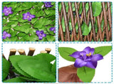 Expandable Fence Privacy Screen for Balcony Patio Outdoor,Decorative Faux Ivy Fencing V1370-AZ4-00469