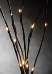 5 Sets of LED Light Bunch Stem - Warm White BATTERY fairy lights - 50cm high 20 bulbs/petals V382-5PLAINSTEMBUNCHBATT