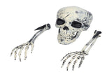 Skeleton Decor Cosplay DIY Multifunctional Lifelike Compact Scary Halloween Skeleton V1294-YM0710-3115210178811