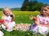2 Pcs Easter Egg Collecting Basket for Gathering Fresh Eggs Mini Egg Collecting Basket with 7 V1192-AZ-W-10756