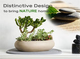 Diatomaceous Earth Plant Saucer for Indoor, 2 Pack Irregular 6.7 Inch 12 Inch, Instant Dry Pot V1192-AZ-W-0934