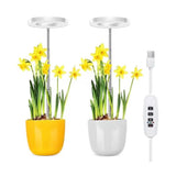 Angel Halo Ring LED Plant Grow Light, Full Spectrum Warm White & Red Blue for Succulents, Flowers, V1341-ZY-DVK5MMNN-3PCS-F