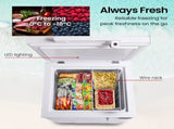 GECKO 100L Portable Chest Freezer, 12V/24V/240V for Motorhome and Caravan, White V219-CMPFRUGK10WA