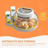 Automatic 8 / 18 Egg Incubator - Electrical Turning Chicken Quail Duck Hatching V238-SUPDZ-40950300442704
