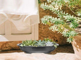 Large Capacity Black Plastic Planter Pot with Drainage Hole for Home Use 5 Pieces V1369-AZ3-W-17073