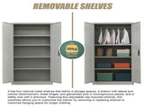 Two-Door Metal Cabinet Shelf Storage for Home Office Gym V63-844331