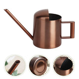 Water Pitcher for Plants 18.5X3.3in 300ml 1Pack V1370-AZ4-17028