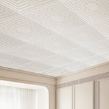 Ceiling Tiles 12-Pack 24 x 24 in PVC Easy Installation White Echo Pattern V952-THBZPVCB12J29DDRKV0