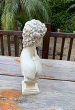Angelo Bust Statue 26x43cm V637-E652010