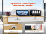 Reception Desk, 80 cm Rectangular Front Counter Table, Modern Office Reception Desk with LED Light, V952-YBQTBSMSJXDLHVT0N001V9