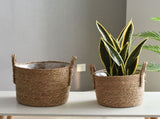 Flower Pots Seagrass Plant Basket with Handle Indoor Woven Flower Pot Toy Storage Container for V1294-YM0717-10077510