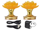 2 Set LED Buddhist Light 3 Color Adjustment Buddha Lamp Plug In Flower Light for Home Buddhist V1294-YM0714-3115210177213