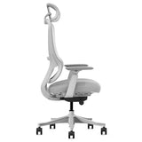 Lifespan Fitness DM8 Ergonomic Office Desk Chair V572-LFOC-DM8G