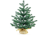 Artificial Xmas Tree 50cm Exquisite Simulation Decorative Xmas Tree Household Holiday Decorations V1294-YM0901-240702FB07-1