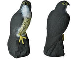 Scarecrow Eagle - Scares away Birds V1237-ZY-203-4180