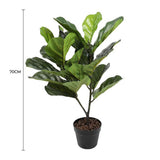 Artificial Fiddle Fig Tree 70cm V637-DP1016121