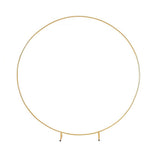 3M Gold Wedding Hoop Round Circle Arch Backdrop Flower Display Stand Frame Background V63-839331