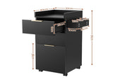 Artiss Professional Salon Station Rolling Cart, Hair Styling Beauty Cabinet with 2 Drawers, Large FUR-AD-SAL-03-BK