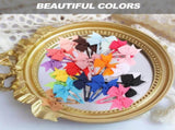 SKISUNO Decorative Hair Clip Girls 20Pcs 2.8X2.2In V1189-WXFWAL-20260326-02262