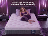 Levitex King Single Mattress Lumbar Support, 5-Zone Pocket Springs & 2-Row Hardened Edges for Deep MATTRESS-F-CORE-30-KS