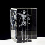 3D Laser Engraved Human Skeletal Crystal Cube Figurines, A V1192-AZ-W-28688