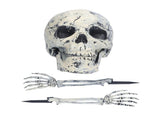 Skeleton Decor Cosplay DIY Multifunctional Lifelike Compact Scary Halloween Skeleton V1294-YM0710-3115210178811
