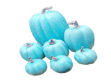 7 Pcs Artificial Pumpkin Cute Lifelike Foam Harvest Pumpkins for Autumn Holiday Decor Sky Blue V1294-YM0901-3115240077511