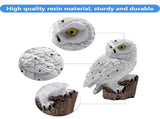 Solar Powered Waterproof Garden Light Outdoor Lawn Lamp for Home Garden Lighting White V1294-YM0901-ZM00889-01