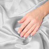 Pure Silk Pillow Case by Royal Comfort-Silver ABM-204835