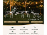Jingle Jollys Christmas Lights 3 Pcs Reindeers 250 LED Decorations XMAS-MOT-3DEERS-MOV-WH