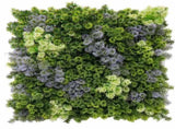 Vivid Purple and Green Moss Panel UV Resistant 100cm x 100cm V637-DP1225254