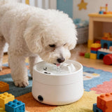 Pet Yogurt Maker Constant Temperature Water Dispenser 6.3In 2 in 1 Food Dryer Stainless Steel Bowl V1369-AZ3-W-10175