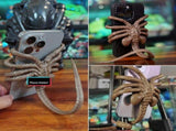 Face Hugging Mobile Phone Halloween Horror Face Adsorption Decoration Adjustable Mobile Phone V1366-AZ2-W-21698