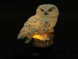 Solar Powered Waterproof Garden Light Outdoor Lawn Lamp for Home Garden Lighting White V1294-YM0901-ZM00889-01
