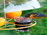Outdoor Garden Panoramic Transparent Thick Plastic Anti-Squirrel Bird Feeders Cover Dome V1369-AZ3-W-02236