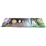 Household Bathroom Non-Slip Doormat Natural Pattern Floor Mat Carpet Rug Mat Home V1294-YM0901-3117200024314