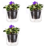 3pcs 4 Inch Self Watering Pot,African Violet Pot,Bottom Watering Glass Planter for Indoor Plants and V1366-AZ2-W-14626